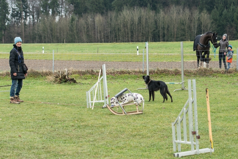 img20180106-155905_x1000