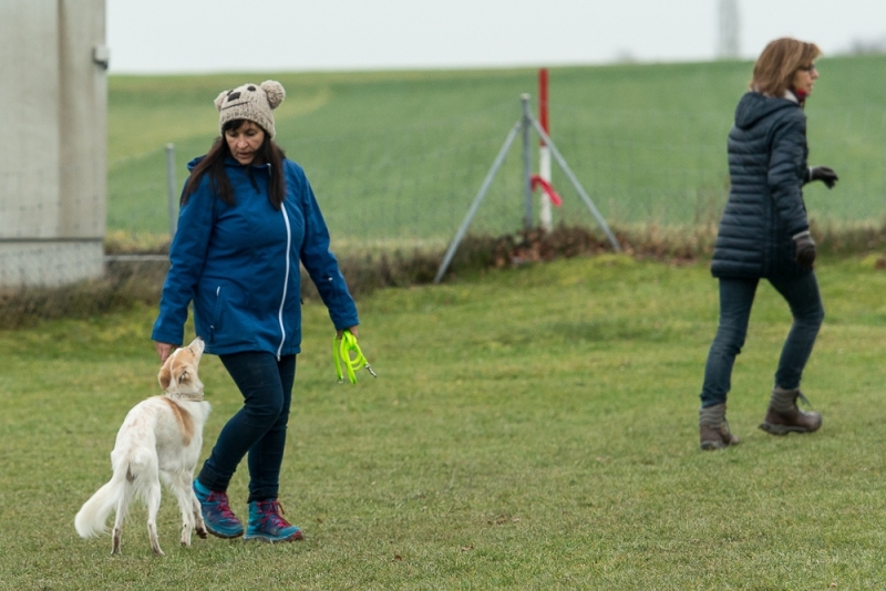 img20180106-163122_x1000