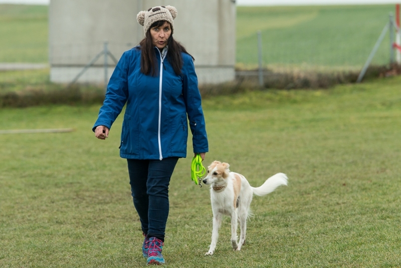 img20180106-163129_x1000