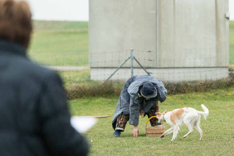 img20180106-163235_x1000