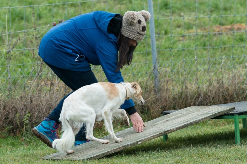 img20180106-164116_x1000