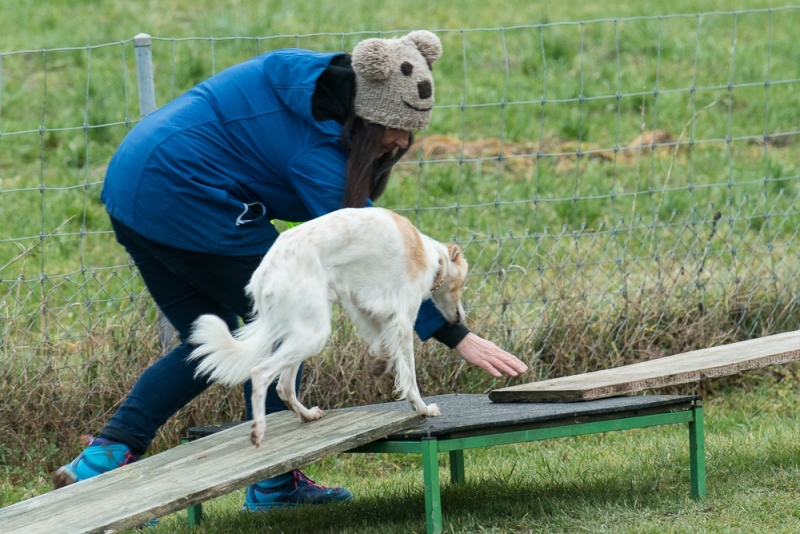 img20180106-164117_x1000