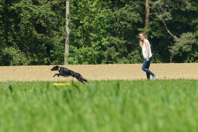 img20180506-143744_x1000