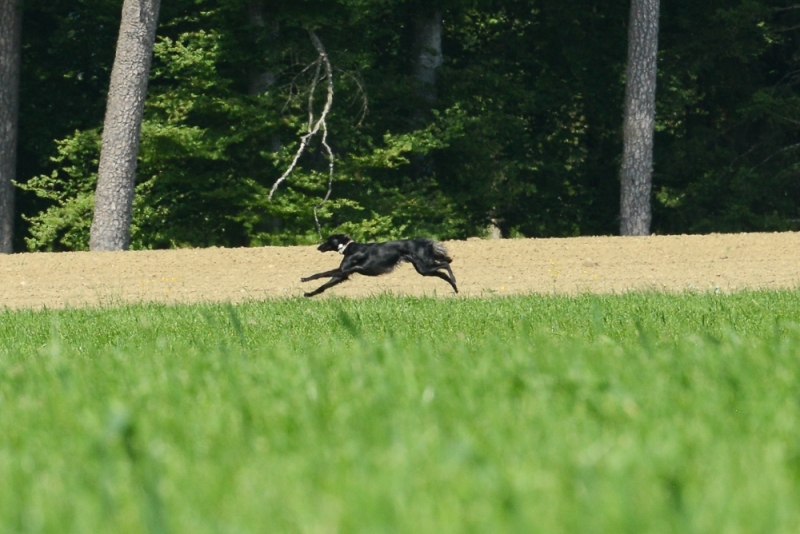 img20180506-143746-2_x1000