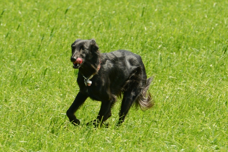 img20180506-145007-4_x1000