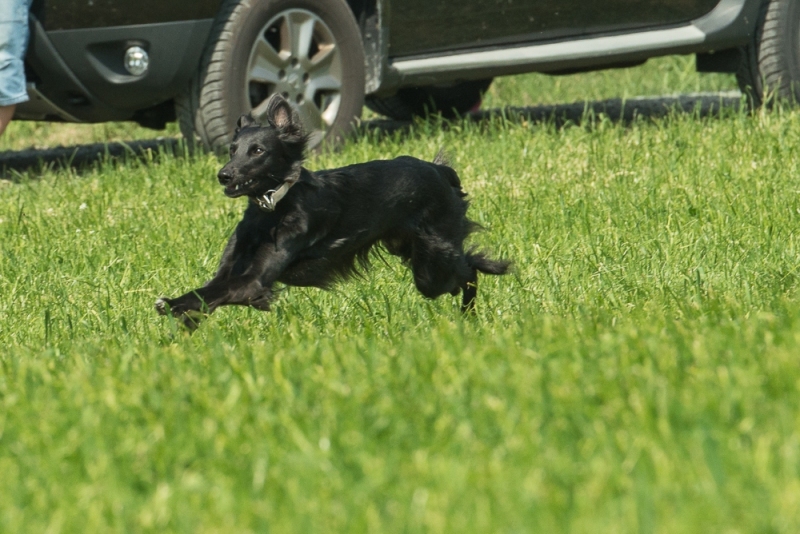 img20180506-152616-2_x1000