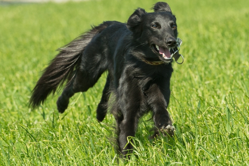 img20180506-152618-2_x1000