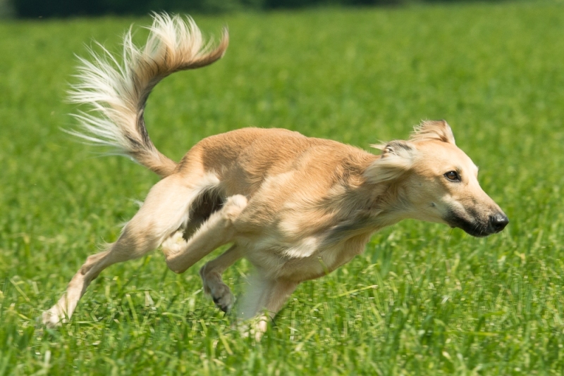 img20180506-153859-2_x1000