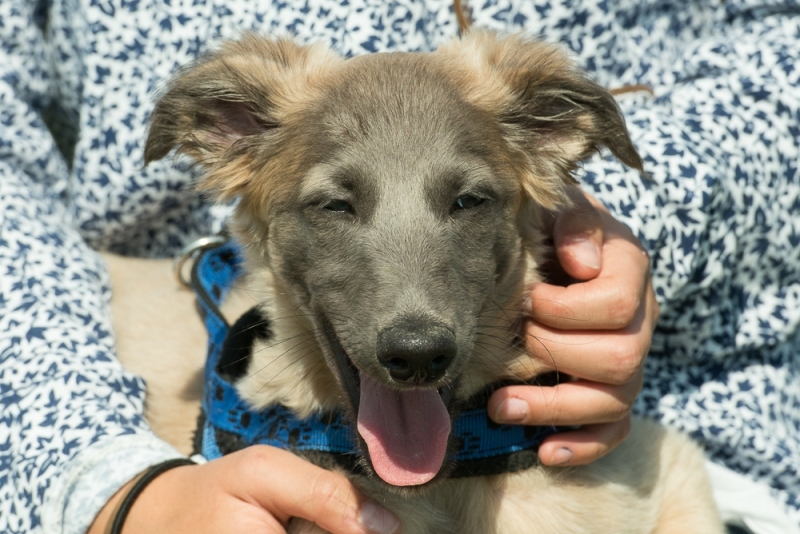 img20180506-154321_x1000