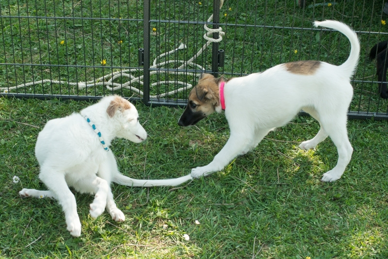 img20180506-163632_x1000