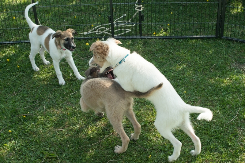 img20180506-163756_x1000