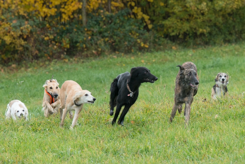 img20181111-122919-2