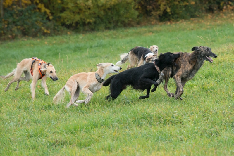 img20181111-122920-2