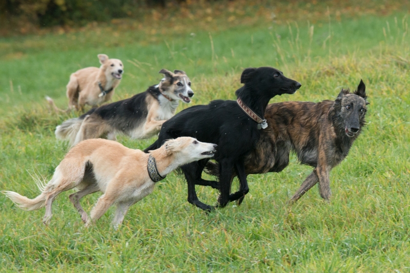 img20181111-122920-3