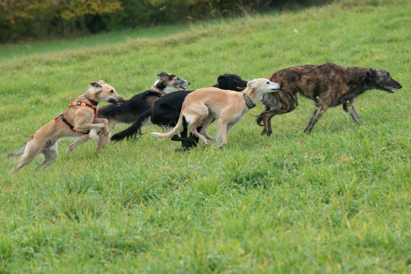 img20181111-122921-2