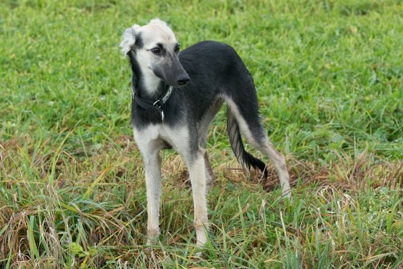 img20181111-123014-3