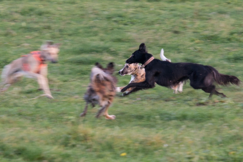 img20181111-174248-4