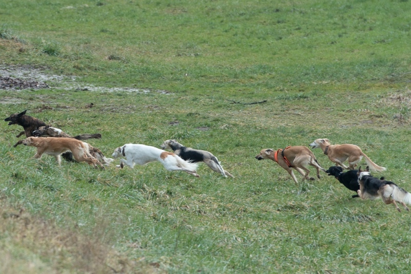 img20190127-114810-2