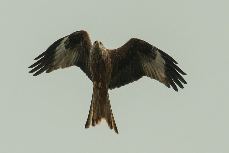 img20190127-115350-2