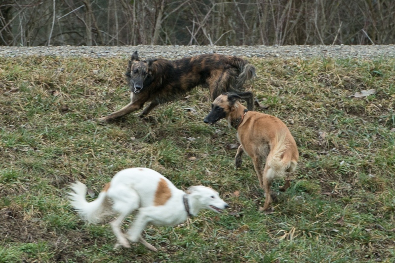 img20190127-122208-2