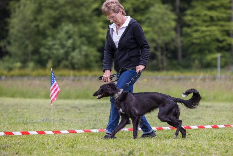 Windsprite-Treffen-2022-101