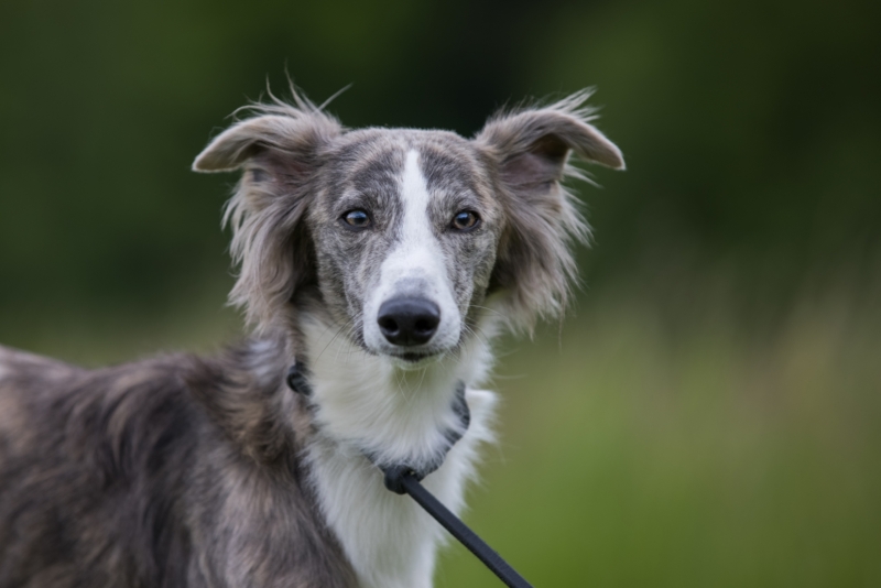 Windsprite-Treffen-2022-109