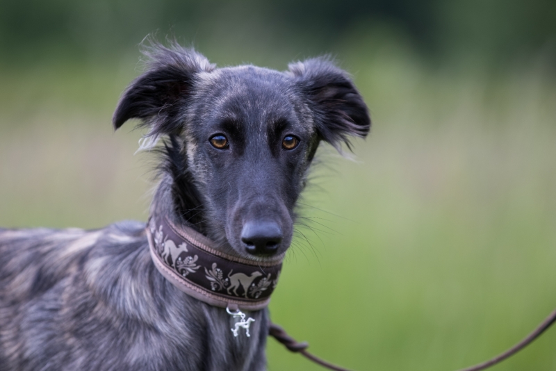 Windsprite-Treffen-2022-113