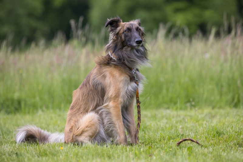 Windsprite-Treffen-2022-122