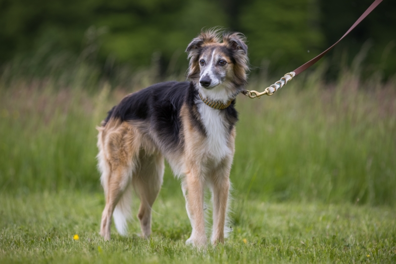 Windsprite-Treffen-2022-126