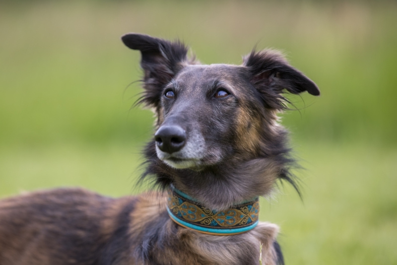 Windsprite-Treffen-2022-137