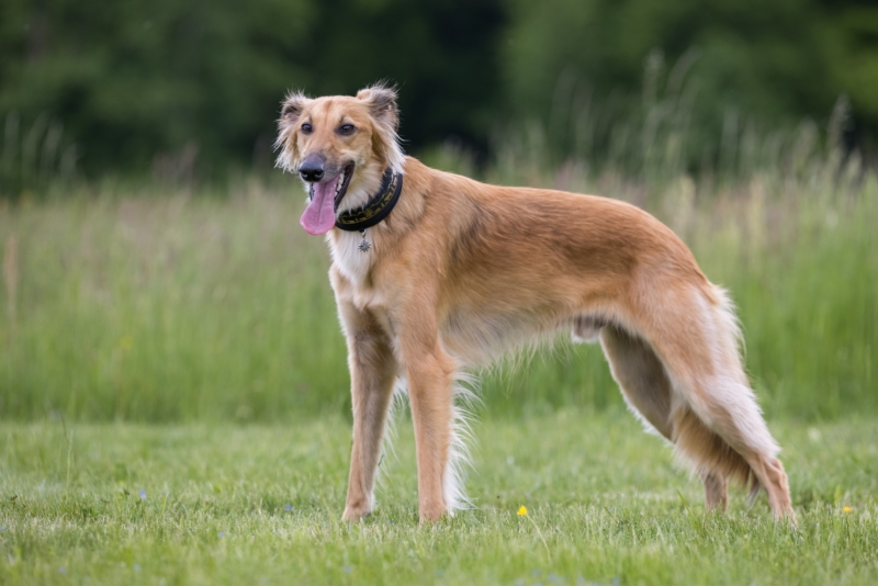 Windsprite-Treffen-2022-146