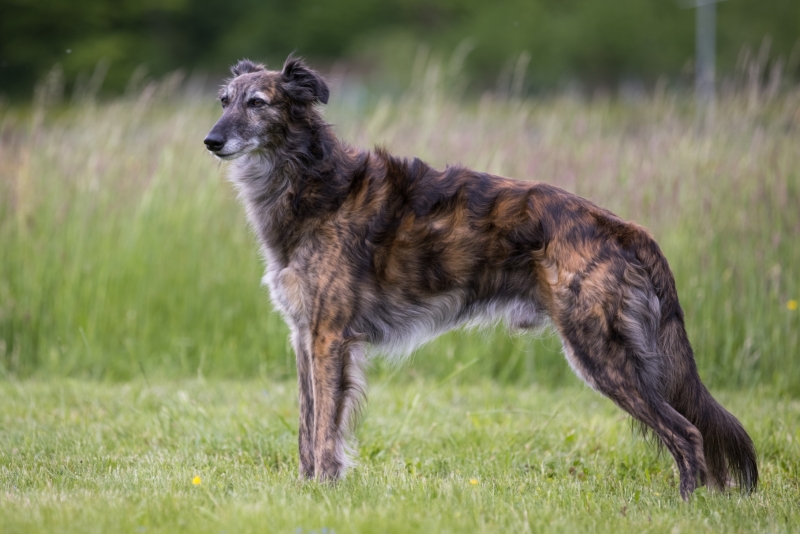 Windsprite-Treffen-2022-150