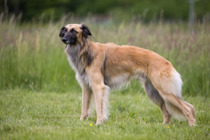 Windsprite-Treffen-2022-152