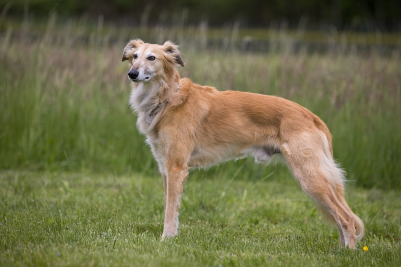 Windsprite-Treffen-2022-154