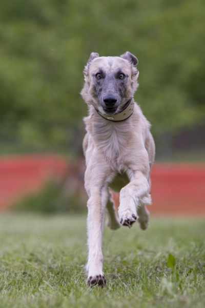 Windsprite-Treffen-2022-159