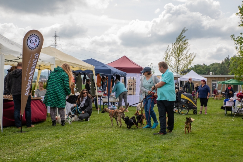 Windsprite-Treffen-2022-16