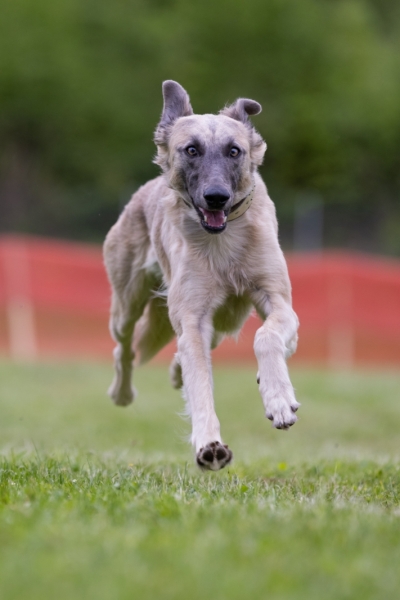 Windsprite-Treffen-2022-160
