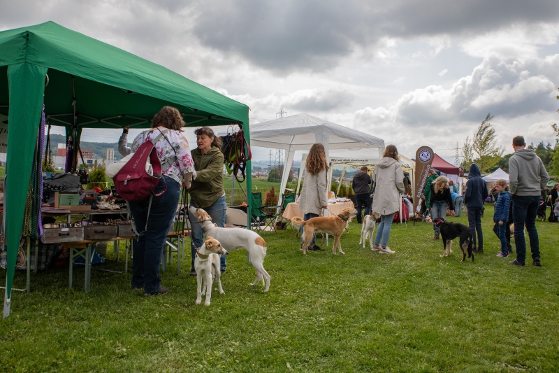 Windsprite-Treffen-2022-17