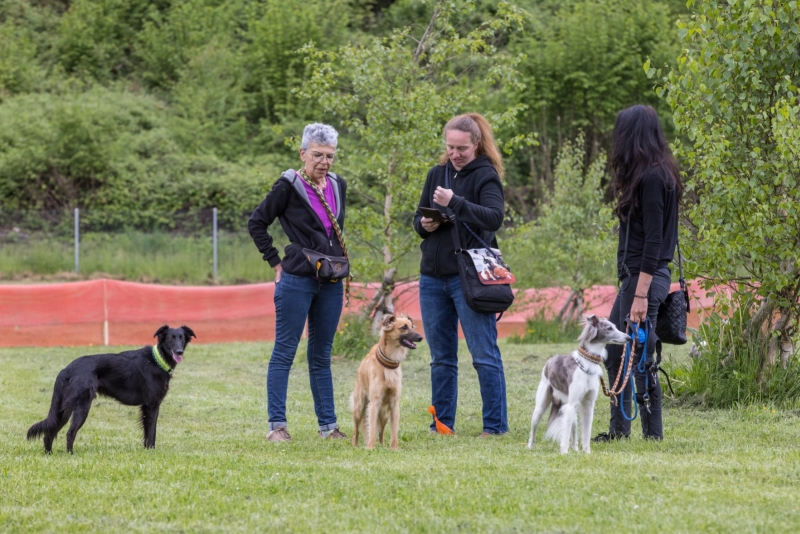 Windsprite-Treffen-2022-27