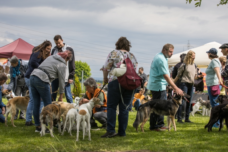 Windsprite-Treffen-2022-29