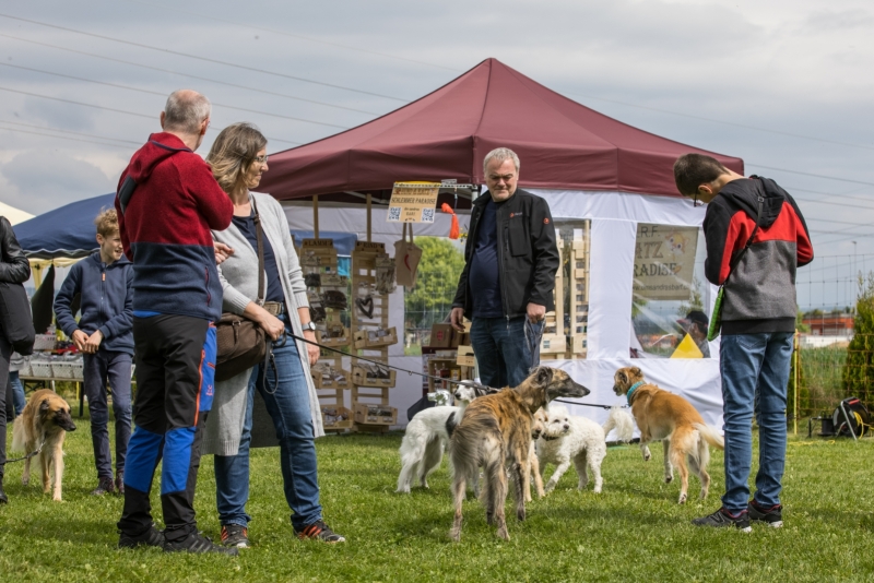 Windsprite-Treffen-2022-33