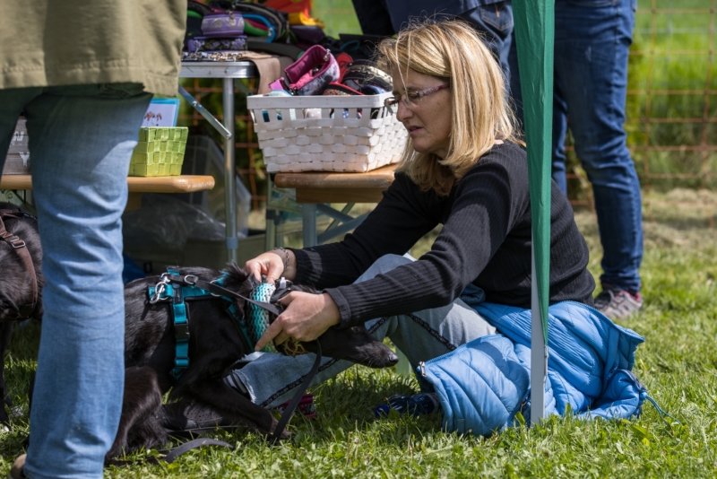 Windsprite-Treffen-2022-46