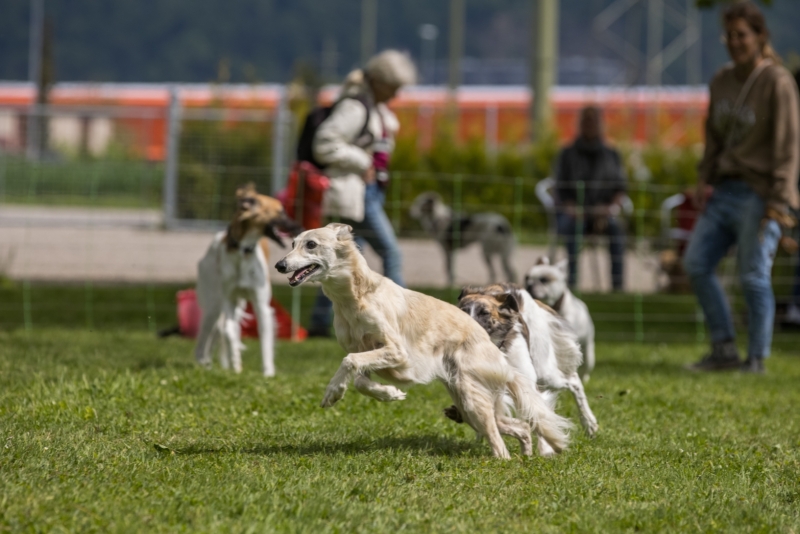 Windsprite-Treffen-2022-47