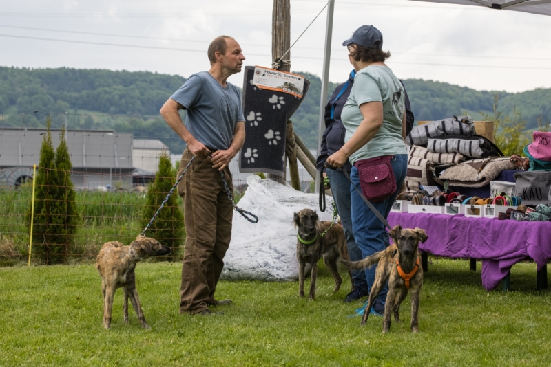 Windsprite-Treffen-2022-5