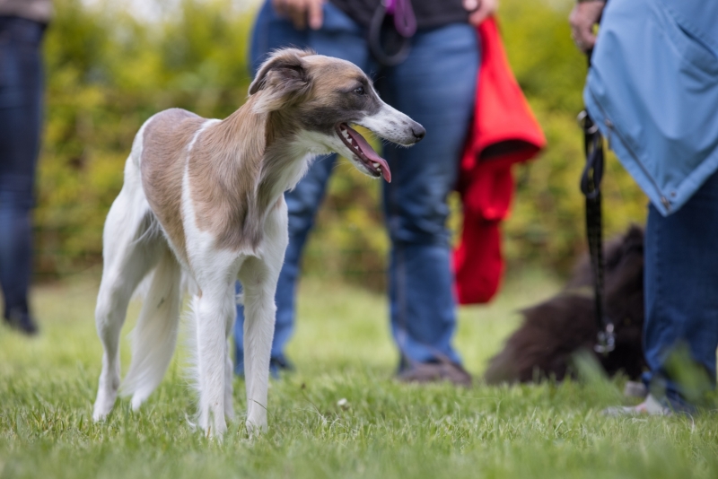 Windsprite-Treffen-2022-52