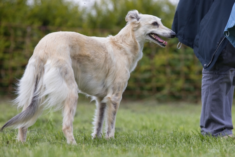 Windsprite-Treffen-2022-53