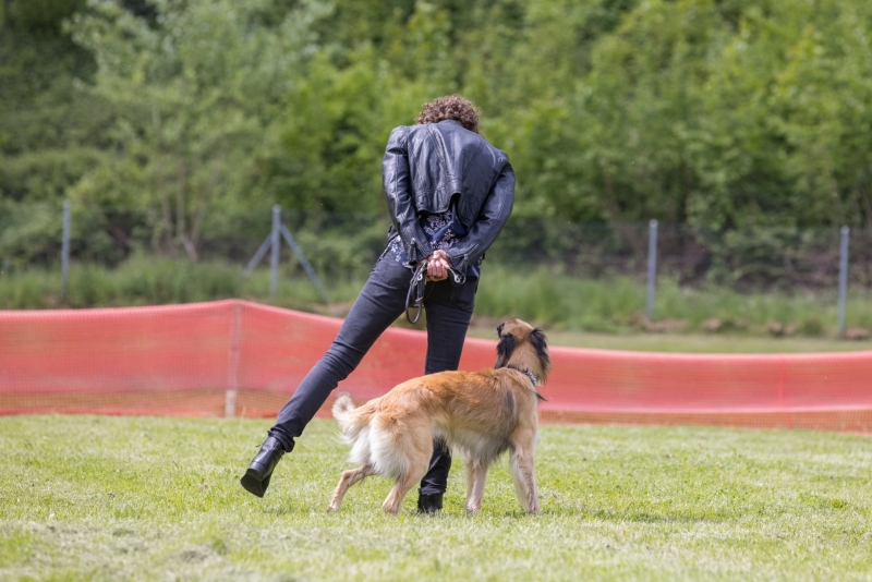 Windsprite-Treffen-2022-55