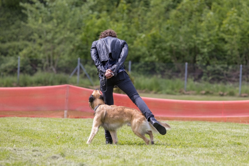 Windsprite-Treffen-2022-56