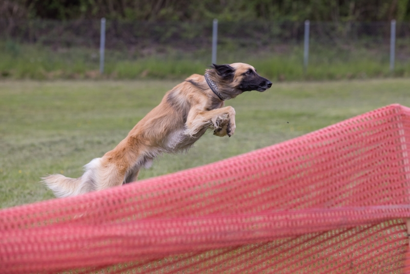 Windsprite-Treffen-2022-57