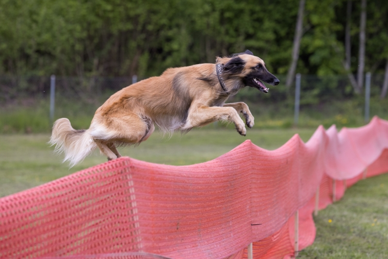 Windsprite-Treffen-2022-59